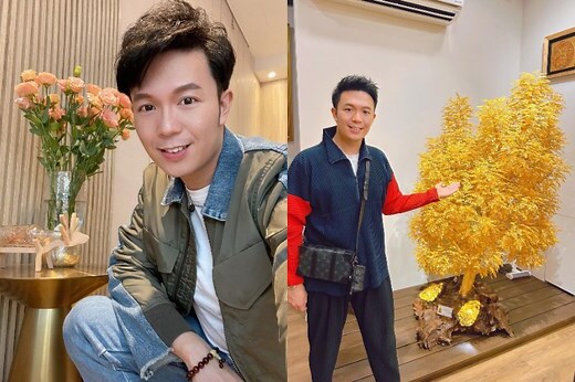 假盆栽 風水